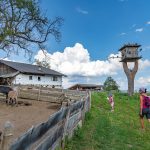 in der Tierwelt Rainguthof