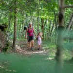 wandern im Wald