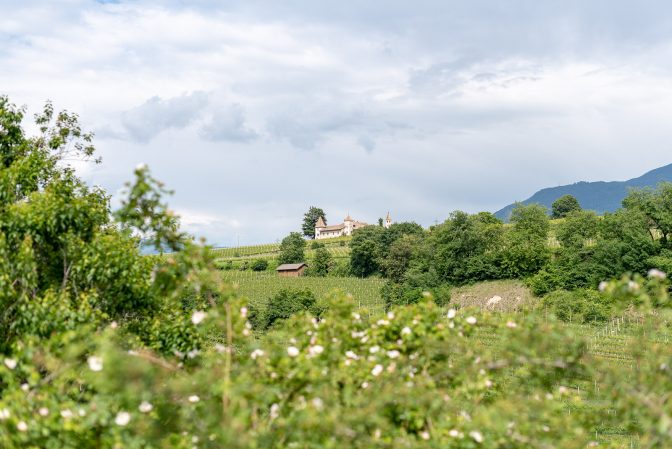 Radweg und Promenade zwischen Kaltern und Eppan