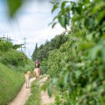 reiten auf Haflinger Pferde