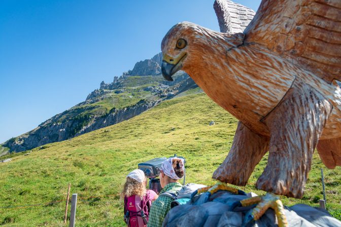 Installation Tierwelt der Alpen