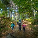 Herbstwanderung auf dem alten Gschnonerweg