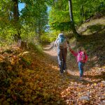 Herbstwanderung auf dem alten Gschnonerweg