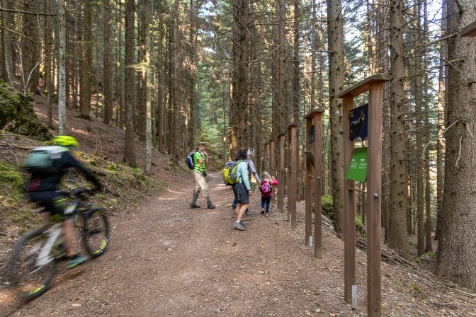 Mountainbiker auf Kanzelweg