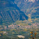 Blick auf Tramin