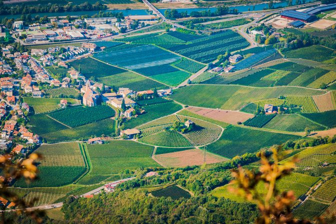 Blick von der Kanzel auf die Weinberge des Weinguts Baron Longo in der Vill in Neumarkt