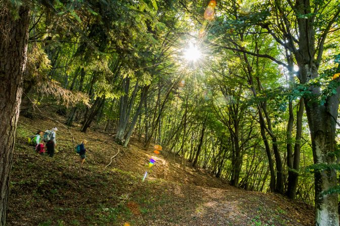 Abstieg von der Kanzel in der Herbstsonne