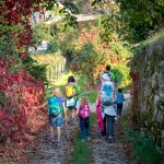 wandern im Herbst