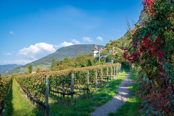 Weingut Gottardi