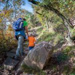 wandern im Herbst