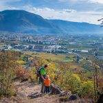 Blick auf Bozen