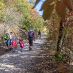 Herbst, wandern