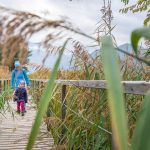 Spaziergang rund um Kurtinig