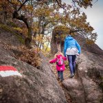 Auf dem Weg zu den Rosszähnen auf dem Mitterberg