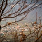 Blick vom Mitterberg nach Tramin