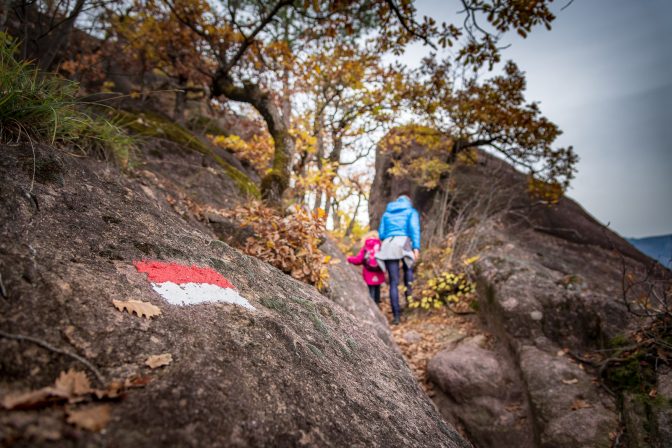 Auf dem Weg zu den Rosszähnen auf dem Mitterberg