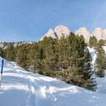 Schneeschuhwandern in Gröden/Val Gardena