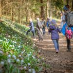 wandern im Frühlingstal