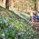 wandern im Frühlingstal