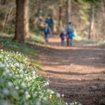 wandern im Frühlingstal