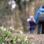 wandern im Frühlingstal