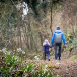 wandern im Frühlingstal