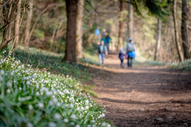 wandern im Frühlingstal