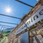 Gewürztraminer Weg in Tramin