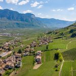 Gewürztraminer Weg im Frühling