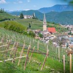 Tramin vom Gewürztraminer Weg aus gesehen