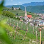 Tramin vom Gewürztraminer Weg aus gesehen