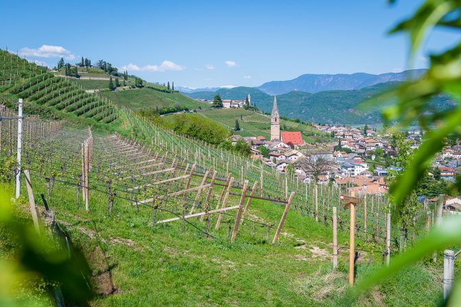 Tramin vom Gewürztraminer Weg aus gesehen