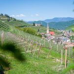 Tramin vom Gewürztraminer Weg aus gesehen