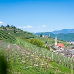 Tramin vom Gewürztraminer Weg aus gesehen