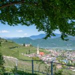 Tramin vom Gewürztraminer Weg aus gesehen