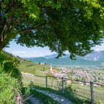 Tramin vom Gewürztraminer Weg aus gesehen