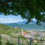 Tramin vom Gewürztraminer Weg aus gesehen