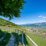 Tramin vom Gewürztraminer Weg aus gesehen