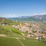 Tramin im Frühling