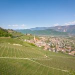 Tramin im Frühling