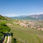 Tramin im Frühling