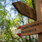 Gewürztraminer Weg in Tramin