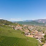 Tramin im Frühling