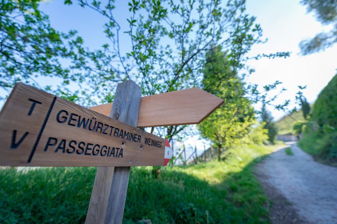 Gewürztraminer Weg in Tramin