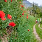 Wandern im Frühling