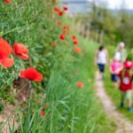 Wandern im Frühling