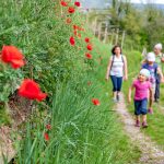 Wandern im Frühling