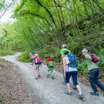 Drei Burgen Wanderung