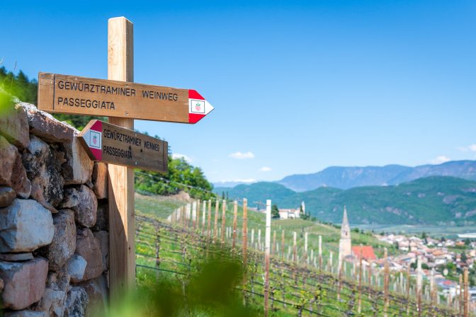 Gewürztraminer Weg in Tramin