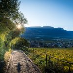 Kirchensteig Tramin im Herbst